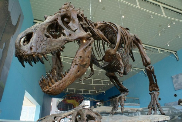 Staybridge Suites Baltimore - Inner Harbor image 26